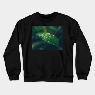 Rainy day drops Crewneck Sweatshirt